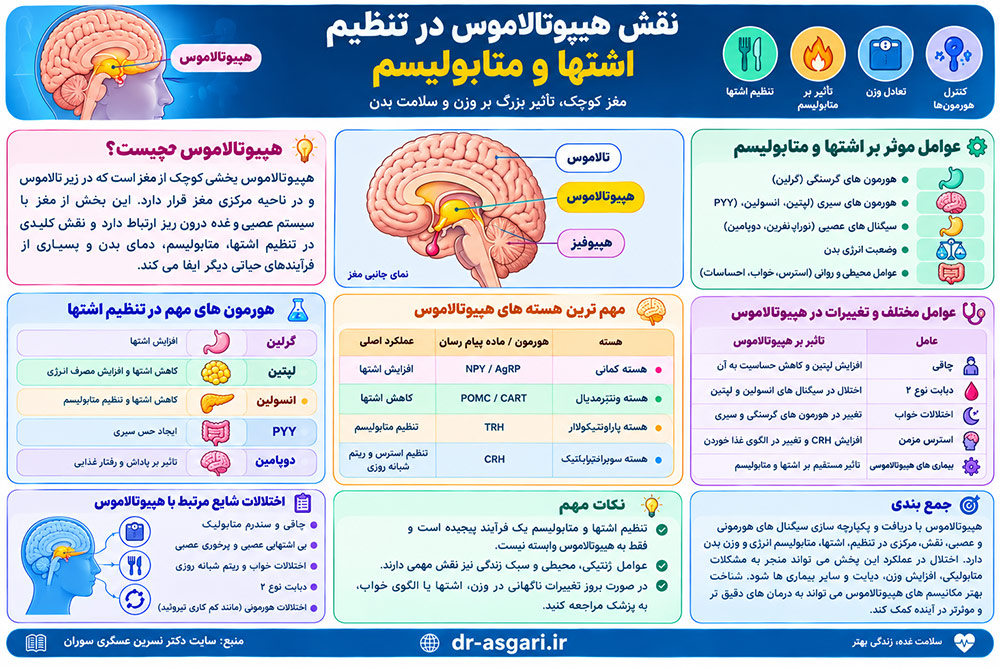 نقش هیپوتالاموس در تنظیم اشتها و متابولیسم