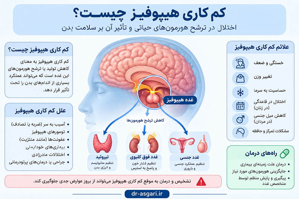 اینفوگرافیک کم کاری هیپوفیز، علائم، علل و تاثیر کاهش هورمون های هیپوفیز