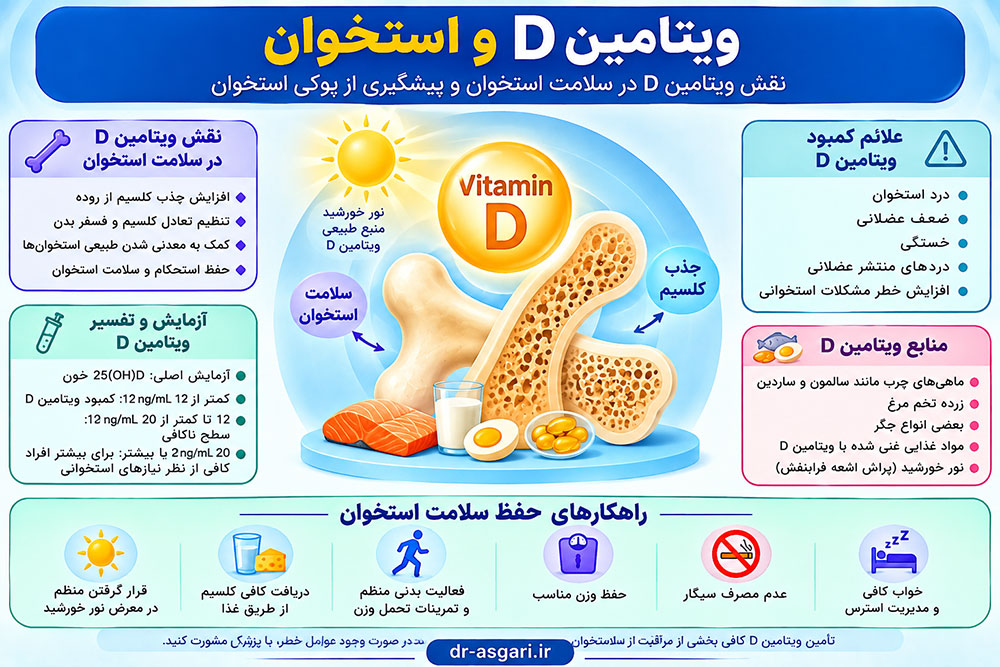اینفوگرافیک ویتامین D و استخوان | علائم کمبود و پیشگیری از پوکی استخوان