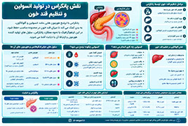 نقش پانکراس در تولید انسولین و تنظیم قند خون