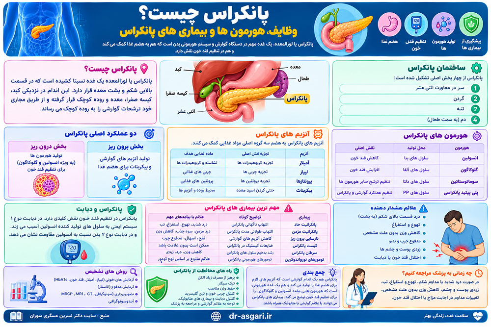 پانکراس چیست؟ وظایف، هورمون ها و بیماری های پانکراس